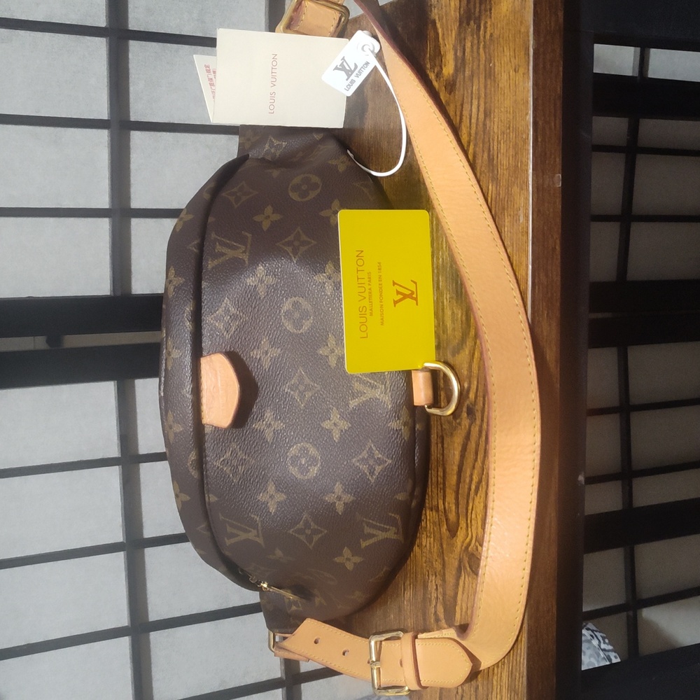 Louis Vuitton monogram bumbag